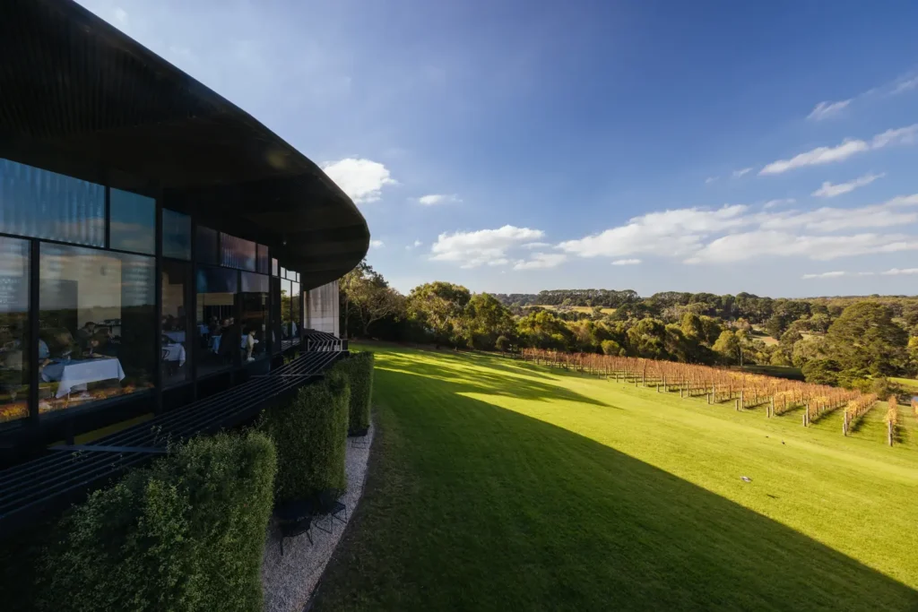 Rolling vineyard hills near Red Hill on the Mornington Peninsula, representing lifestyle property lending service area